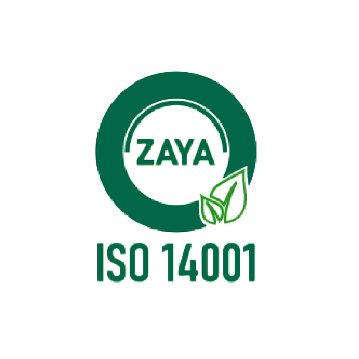 iso1