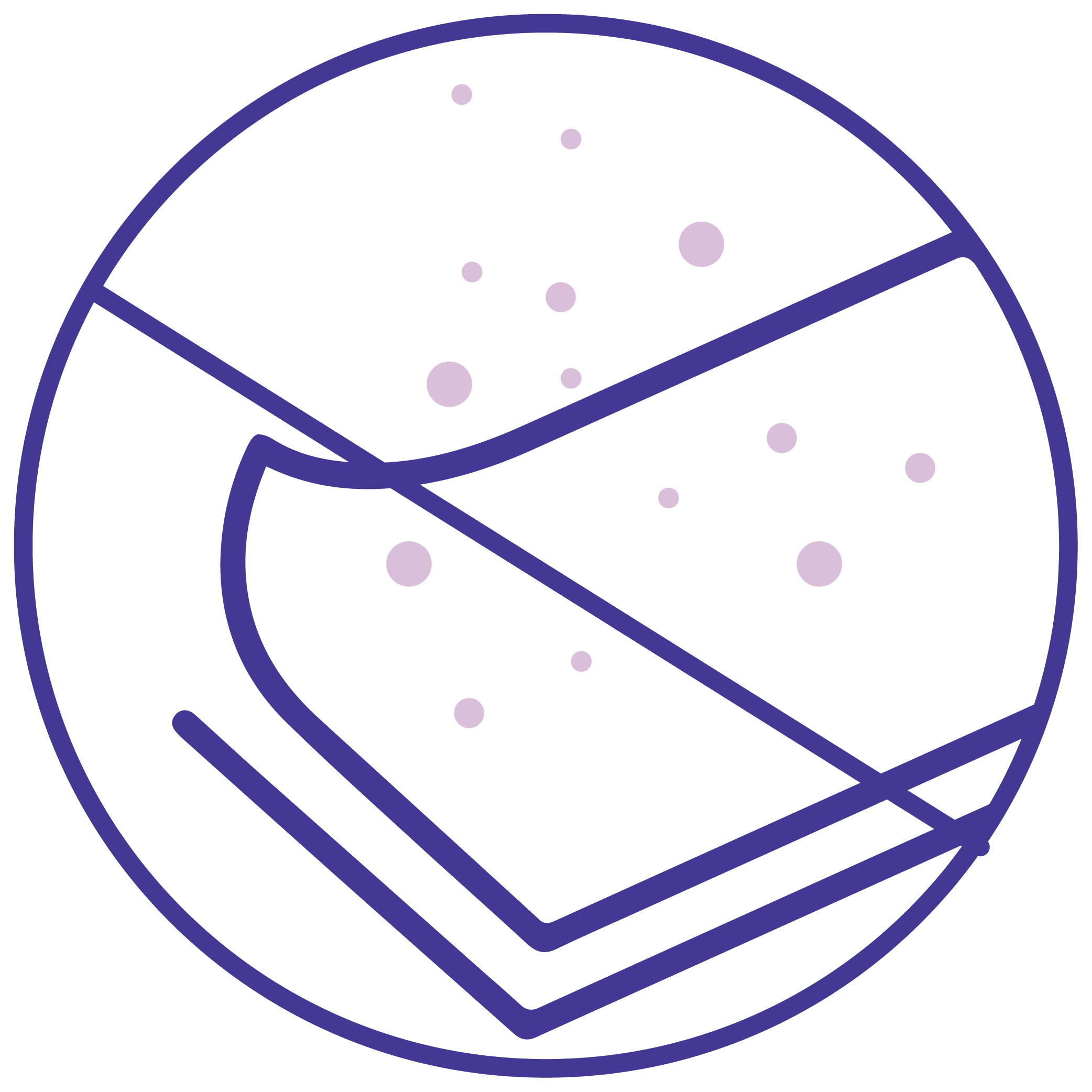 خالي من الوبر